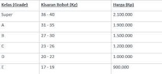 daftar harga kambing qurban