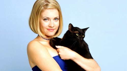 Sabrina, l'apprentie sorcière 1996 sans inscription