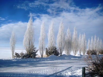 Photo of Utah snow by Rioland Lee