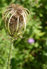 P1070311