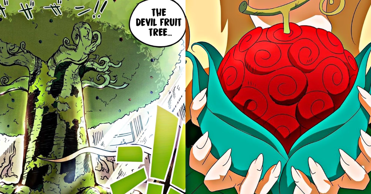 One Piece: The Devil Fruit Tree, Explained