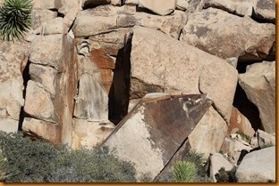 IMG_9759