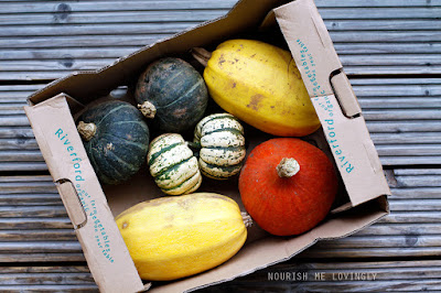 the_squash_box