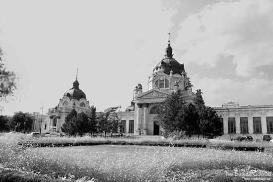 budapest_20110828_Szechenyi5bw