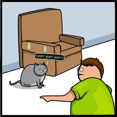 cat vs internet