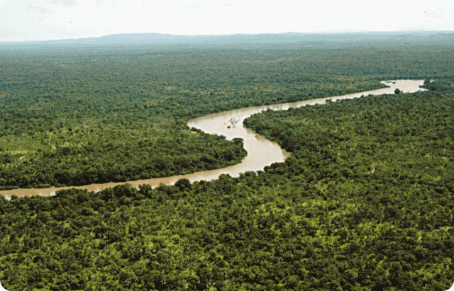 Biodiversity-River_gambia_Niokolokoba_National_Park