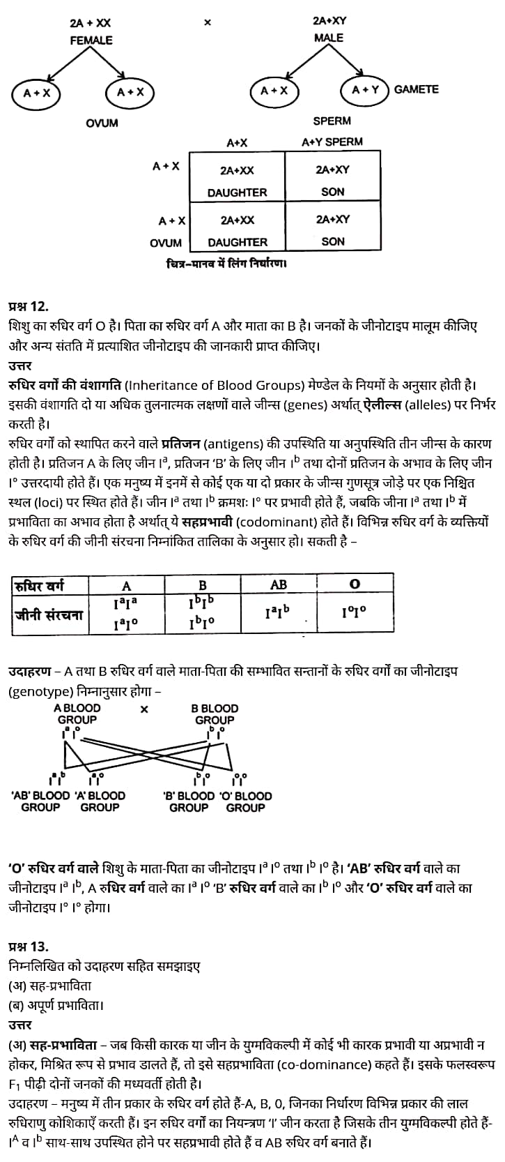 class 12   Biology   Chapter 5,  class 12   Biology   Chapter 5 ncert solutions in hindi,  class 12   Biology   Chapter 5 notes in hindi,  class 12   Biology   Chapter 5 question answer,  class 12   Biology   Chapter 5 notes,  12   class Biology   Chapter 5 in hindi,  class 12   Biology   Chapter 5 in hindi,  class 12   Biology   Chapter 5 important questions in hindi,  class 12   Biology    notes in hindi,   class 12   Biology   Chapter 5 test,  class 12   Biology   Chapter 5 pdf,  class 12   Biology   Chapter 5 notes pdf,  class 12   Biology   Chapter 5 exercise solutions,  class 12   Biology   Chapter 5, class 12   Biology   Chapter 5 notes study rankers,  class 12   Biology   Chapter 5 notes,  class 12   Biology   notes,   Biology    class 12   notes pdf,  Biology   class 12   notes 2021 ncert,  Biology   class 12   pdf,  Biology    book,  Biology   quiz class 12  ,   12  th Biology    book up board,  up board 12  th Biology   notes,   कक्षा 12   जीव विज्ञान  अध्याय 5, कक्षा 12   जीव विज्ञान  का अध्याय 5 ncert solution in hindi, कक्षा 12   जीव विज्ञान  के अध्याय 5 के नोट्स हिंदी में, कक्षा 12   का जीव विज्ञान  अध्याय 5 का प्रश्न उत्तर, कक्षा 12   जीव विज्ञान  अध्याय 5 के नोट्स, 12   कक्षा जीव विज्ञान  अध्याय 5 हिंदी में, कक्षा 12   जीव विज्ञान  अध्याय 5 हिंदी में,कक्षा 12   जीव विज्ञान  अध्याय 5 महत्वपूर्ण प्रश्न हिंदी में, कक्षा 12   के जीव विज्ञान  के नोट्स हिंदी में,  जीव विज्ञान  कक्षा 12   नोट्स pdf,  जीव विज्ञान  कक्षा 12   नोट्स 2021 ncert,  जीव विज्ञान  कक्षा 12   pdf,  जीव विज्ञान  पुस्तक,  जीव विज्ञान  की बुक,  जीव विज्ञान  प्रश्नोत्तरी class 12  , 12   वीं जीव विज्ञान  पुस्तक up board,  बिहार बोर्ड 12  पुस्तक वीं जीव विज्ञान  नोट्स,    12th Biology    book in hindi, 12  th Biology    notes in hindi, cbse books for class 12  , cbse books in hindi, cbse ncert books, class 12   Biology   notes in hindi,  class 12   hindi ncert solutions, Biology   2020, Biology   2021, Biology   2022, Biology   book class 12  , Biology    book in hindi, Biology   class 12   in hindi, Biology   notes for class 12   up board in hindi, ncert all books, ncert app in hindi, ncert book solution, ncert books class 10, ncert books class 12  , ncert books for class 7, ncert books for upsc in hindi, ncert books in hindi class 10, ncert books in hindi for class 12 Biology  , ncert books in hindi for class 6, ncert books in hindi pdf, ncert class 12 hindi book, ncert english book, ncert Biology    book in hindi, ncert Biology    books in hindi pdf, ncert Biology  class 12  ,