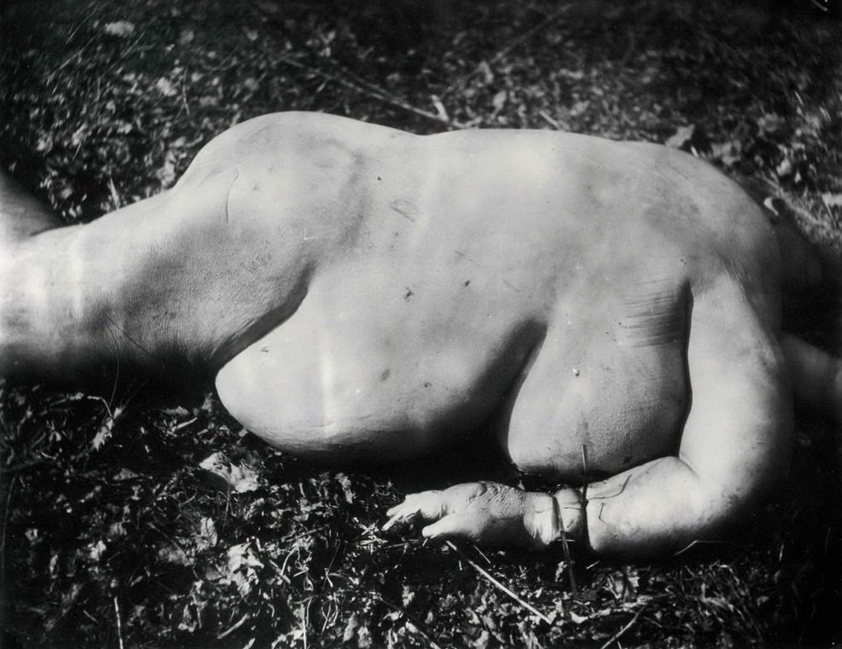 Metal On Metal Sally Mann Photography Body Farm