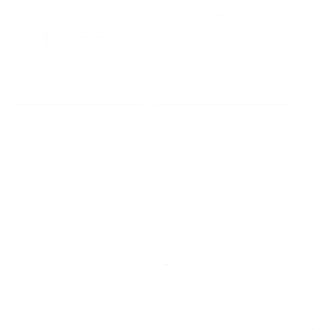 Cat  T-Shirt Design 44