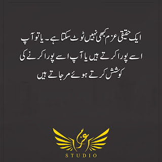 quotes in urdu