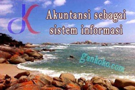 https://www.gankoko.com/2021/02/akuntansi-sebagai-sistem-informasi.html