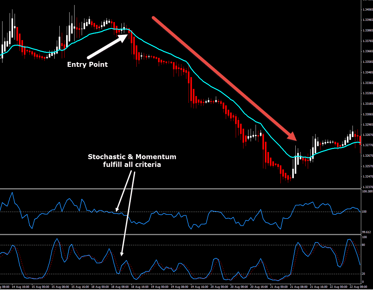 noise trading forex