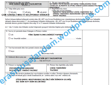 Ulusal vize başvuru formu doldurulmuş örnek