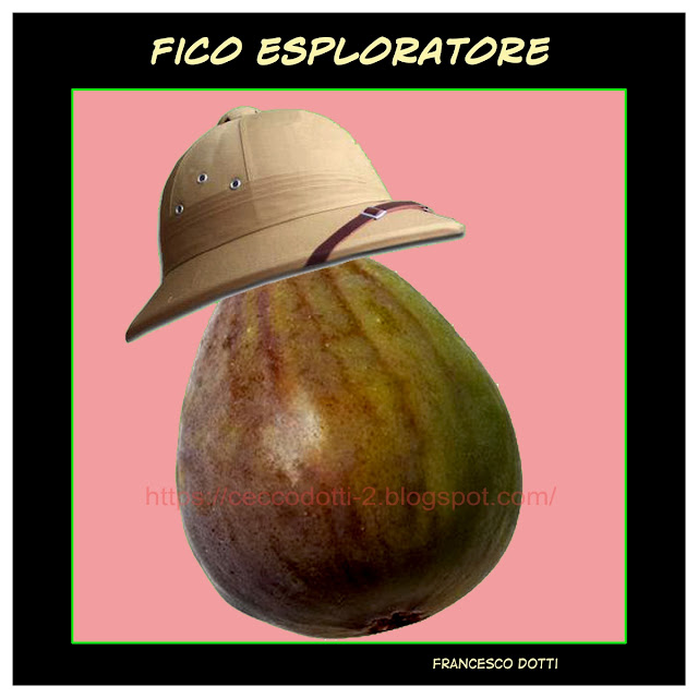 Fico esploratore