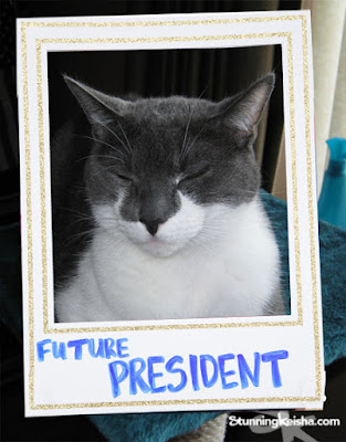 6 Reasons I Should Be the Next President