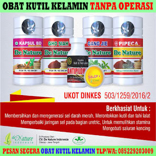 Obat Kutil Kelamin