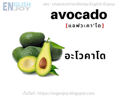 คําศัพท์ภาษาอังกฤษ ผลไม้ - avocado (อะโวคาโด)_Fruits