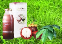 Obat Herbal Penyakit Diabetes