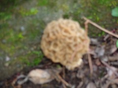 DSC00324