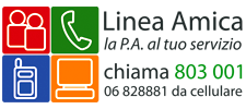 LA PUBBLICA AMMINISTRAZIONE