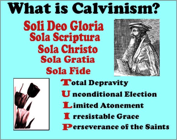  calvinism