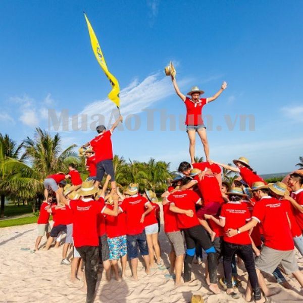 Áo Thun Team Building Cực Chất