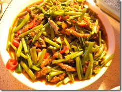 DSCN3253
