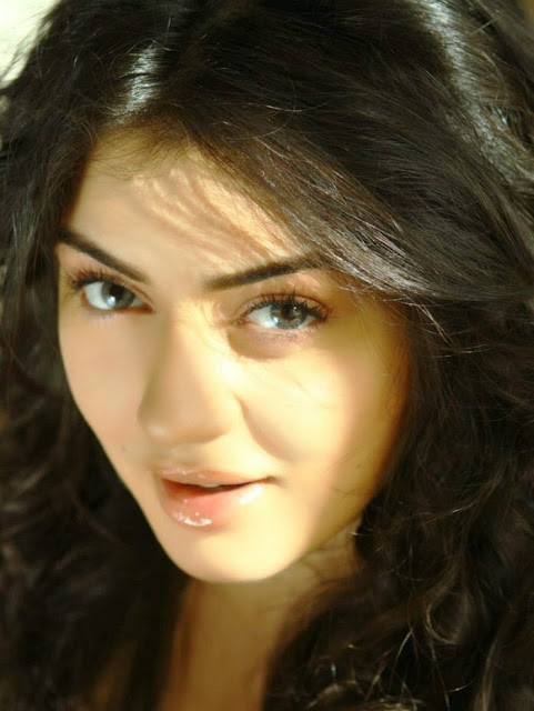 Hansika Motwan HD Wallpapers Free Download