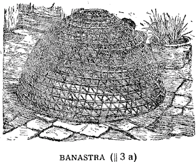 banasta, banastes  la de la nostra zona es mes estreta y porte unes cornaleres, com lo nas de Doña Rogelia,