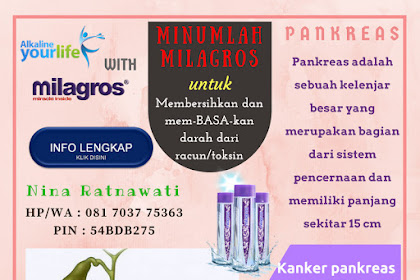 KANKER PANKREAS