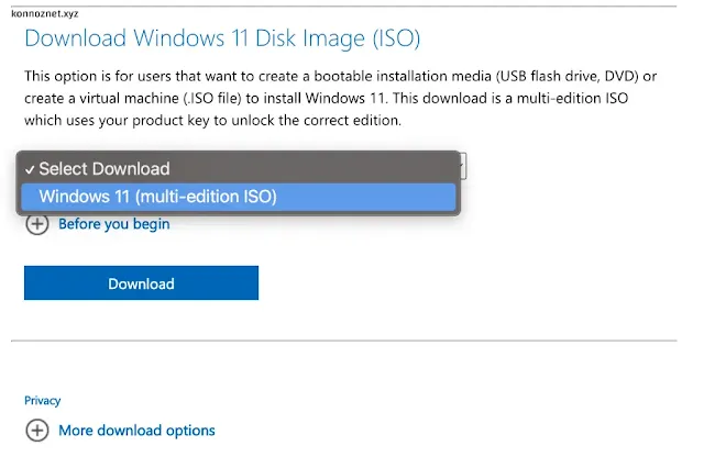 ملف Windows 11 ISO
