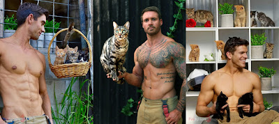 Bomberos australianos sin camiseta abrazan a gatos para un calendario benéfico muy tierno y sexy