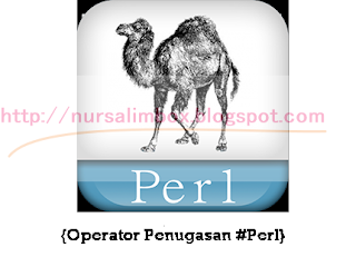 Operator Penugasan Pada Perl