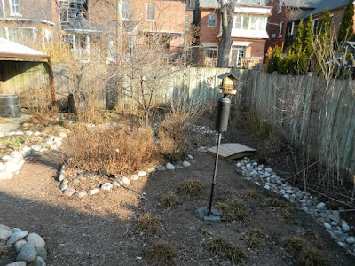 Toronto gardening company Riverdale spring 2018 garden cleanup before by Paul Jung Gardening Services