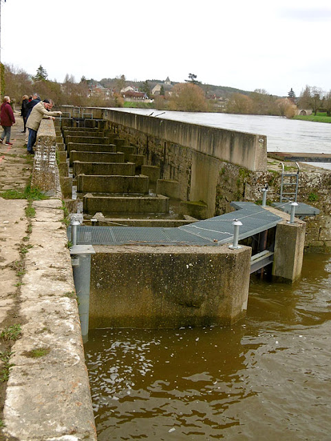 Fish ladder in the weir at the papermill, Descartes.  Indre et Loire, France. Photographed by Susan Walter. Tour the Loire Valley with a classic car and a private guide.