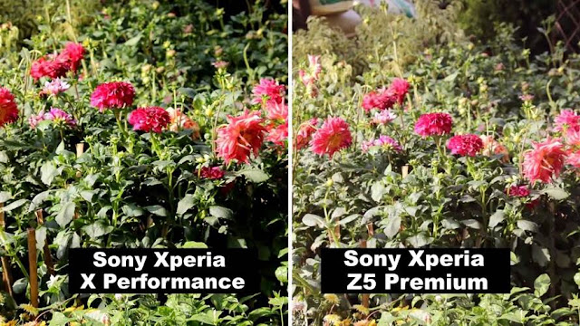   perbandingan foto antara Xperia X Performance dengan sony xperia Z5 premium (klik disini untuk melihat gambar lebih detail)