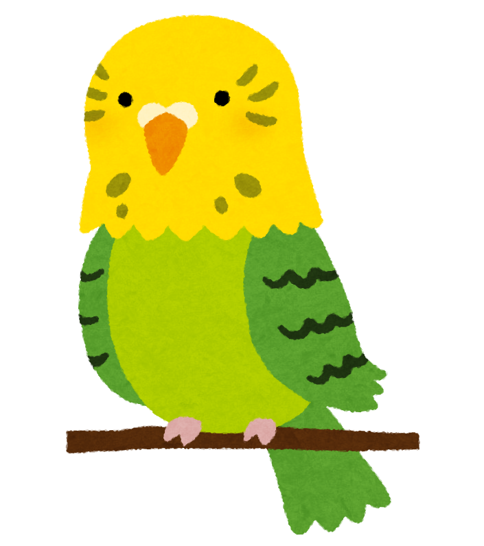 インコのイラスト かわいいフリー素材集 いらすとや