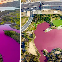 Penduduk terkejut kolam tiba-tiba bertukar warna merah jambu