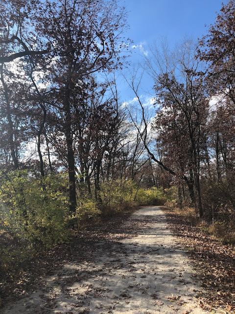 The shapes of the tree create unique scenes in winter.