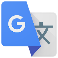 Google Translate Icon