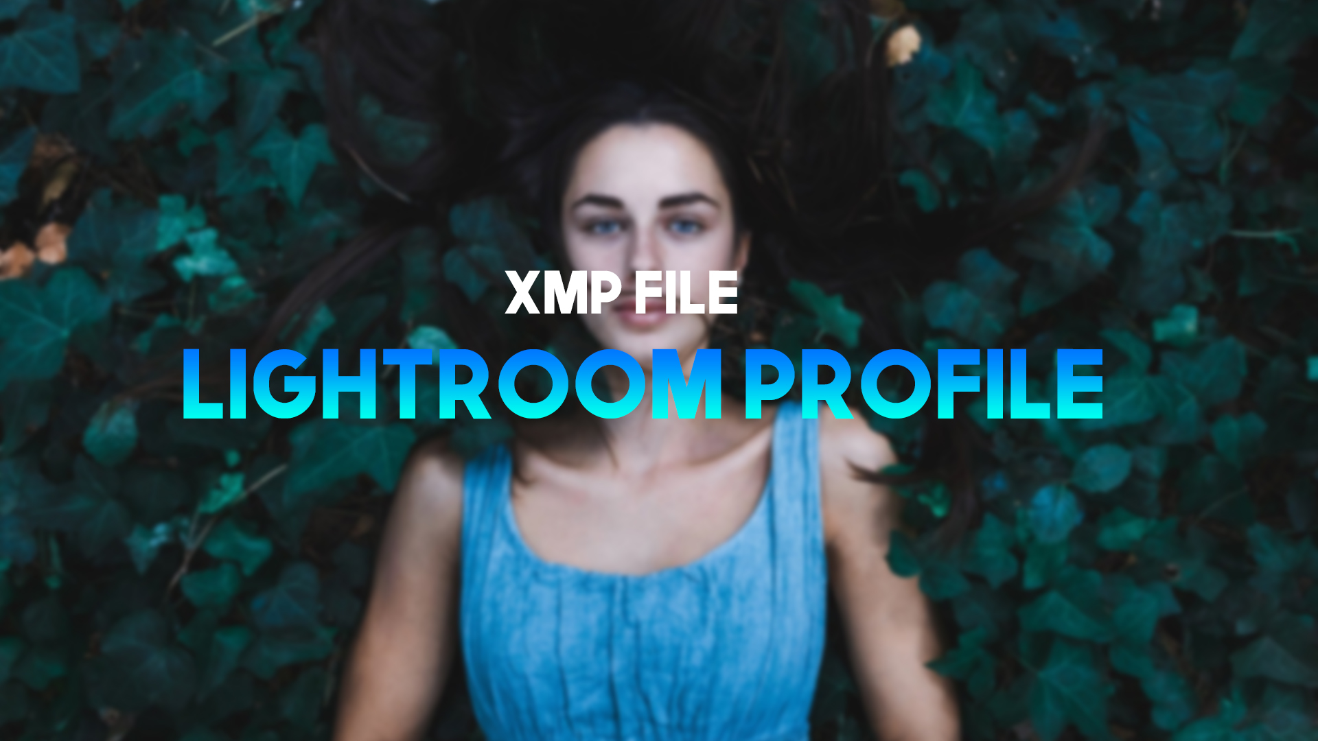Best 100 Free Lightroom Mobile  XMP Profile Free Download
