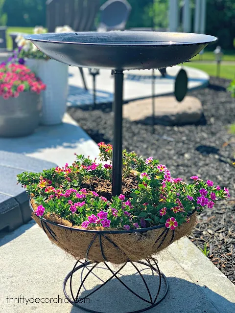 Bird bath with planter