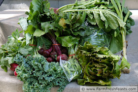 the contents of a typical early Spring farm share box