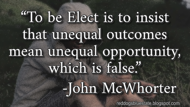 “To be Elect is to insist that unequal outcomes mean unequal opportunity, which is false.” -John McWhorter