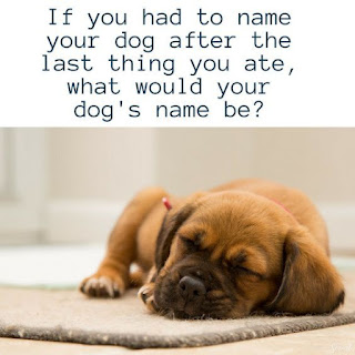 Name your dog after the last thing you ate