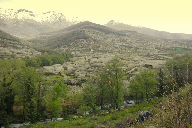 AlfonsoyAmigos - Valle del Jerte - Rutas MTB