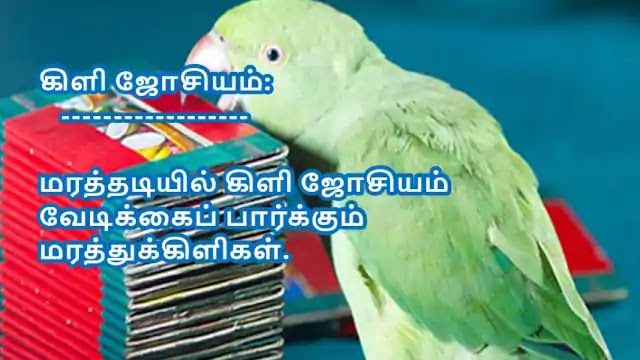 Tamil Haiku Kavithai 162