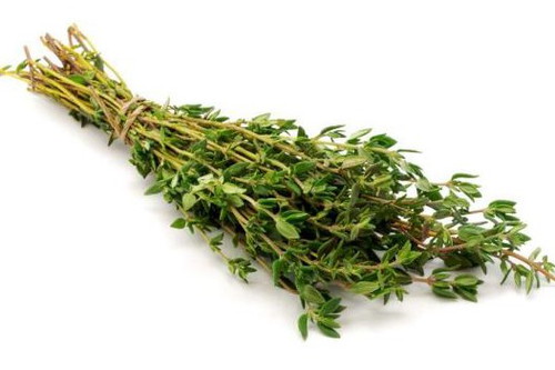 Thyme - अजवाइयन के फूल