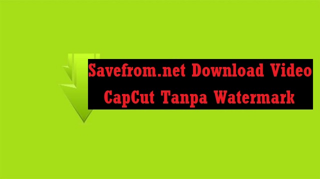 Savefrom.net Download Video CapCut Tanpa Watermark