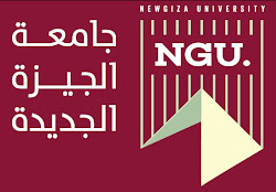 جامعة الجيزة الجديدة